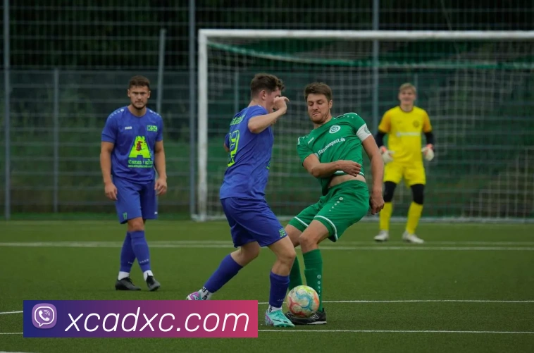 3377体育APP 封面图