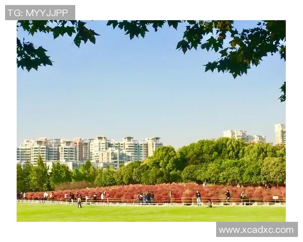 张昊：从平凡到卓越的奋斗历程与人生感悟分享